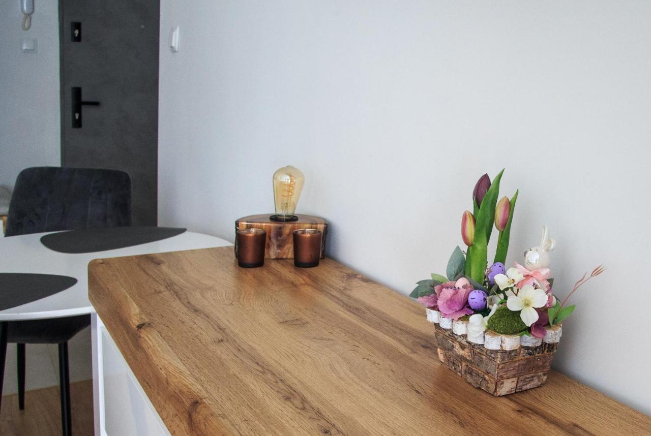 Studio Dla Dwojga Sanok Dış mekan fotoğraf